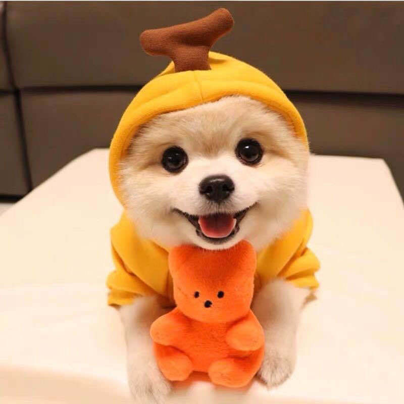 Cute Fruit Dog & Cat Clothes For Small Dogs Hoodies Winter Warm Fleece Pet Clothing Puppy Cat Costume Coat For French Chihuahua Outfit